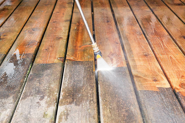 Best Roof Pressure Washing  in Warren, MI